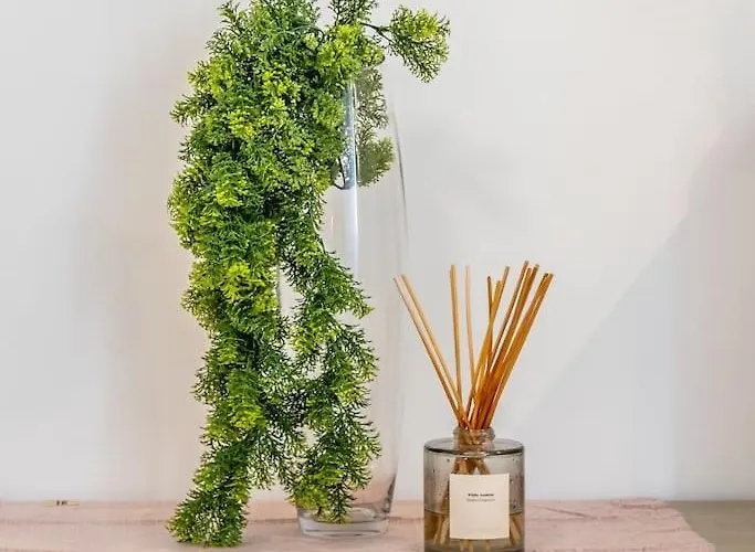 Modern 3 Bedrooms Penthouse With A Breathtaking Valletta View *